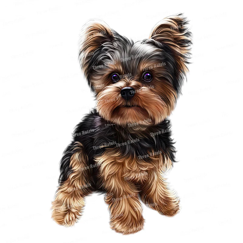 Three Ratels QD121 funny Yorkshire Terrier self-adhesive pet dog wall sticker home decorative toilet Decal